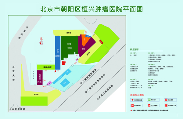 操情人视频北京市朝阳区桓兴肿瘤医院平面图